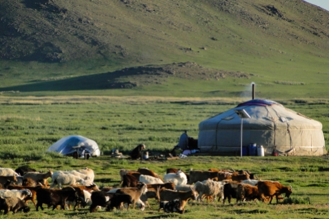 Mongolia part 1.4